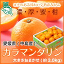 【送料無料】愛媛県(中島産)完熟みかん『カラマンダリン』 風...