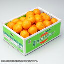 完熟春みかん カラマンダリン 愛媛県 中島産 風のいたず...