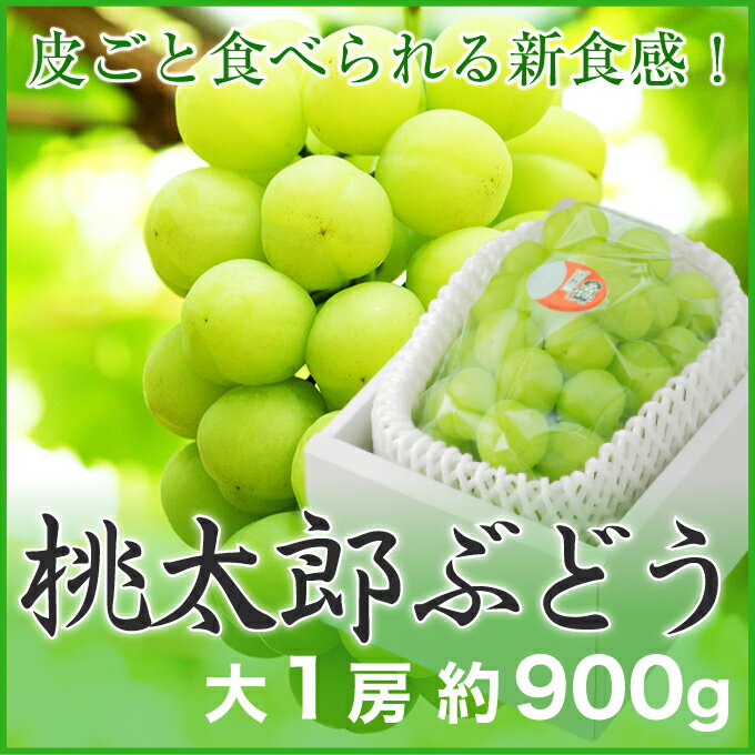 【送料無料】　岡山県産 　　『桃太郎ぶどう』 　【