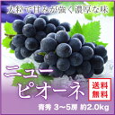 ニューピオーネ 岡山県産 JAおかやま 青秀 3〜5房...