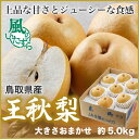王秋梨 おうしゅうなし 鳥取県産 風のいたずら ちょっと訳...