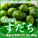 【送料無料】 徳島県産 『すだち』 秀品 大玉 3L〜2Lサイズ (約1.0kg) 化粧箱入り