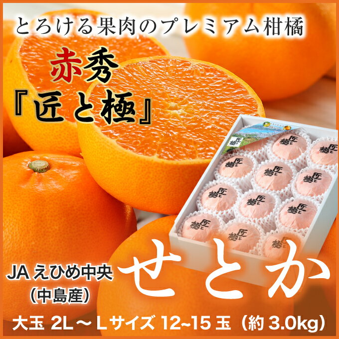 【送料無料】JAえひめ中央（中島産） 『せとか』【赤秀】 （光センサー糖度13度以上） 大玉 2L〜...:hachiya-fruits:10001514