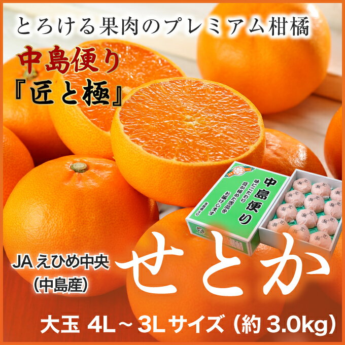 送料無料 2月中旬より発送 JAえひめ中央（中島産） 『せとか』 中島便り 匠と極 （光センサー糖度13度以上） 大玉　4L〜3Lサイズ（約3.0kg） 化粧箱入り