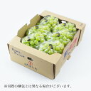 シャインマスカット 晴王 岡山県産 JAおかやま 赤秀 5~10房 約5kg ギフト 送料無料 ぶどう 葡萄 ブドウ