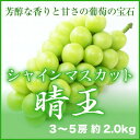 【送料無料】 JA岡山 『シャインマスカット 晴王』 【赤秀】 大粒 3〜5房 (約2.0kg) 化粧箱入り 【お中元・夏ギフト】