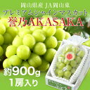 プレミアムシャインマスカット 誉乃AKASAKA ほまれのあ...