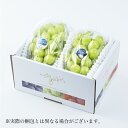 シャインマスカット 岡山県産 特秀 2房 約500g×2 蒲萄 ぶどう ブドウ