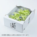 シャインマスカット 岡山県産 青秀 3~5房 約2kg 送料無料 蒲萄 ぶどう ブドウ