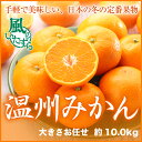 温州みかん 産地厳選 風のいたずら ちょっと訳あり 大きさ...