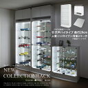 【福袋】【送料無料】 地球家具NEWコレクションラック新シリ...