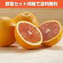ブラッドオレンジ 1個【ジュース カクテル お取り寄せ 単品 野菜 フルーツ 果物 ビタミン】