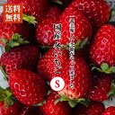【送料無料】国産 冬いちご Sサイズ 1ケース【約270g×4パック】【120粒前後・1粒2.8~3cm程度】とちあいか とちおとめなど 苺 イチゴ 果物 フルーツ ギフト ストロベリー 業務用 ケーキ作り