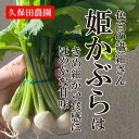姫かぶら 【久保田農園 姫かぶ 福岡県産 野菜 珍しい野菜】