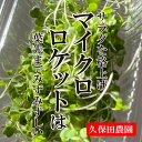 マイクロロケット 1PAC 【久保田農園 ロケットルッコラ スプラウト 福岡県産 飾り あしらい ハーブ 野菜 珍しい野菜】