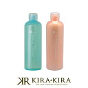 ニューウェイジャパン パイウェイ エコパイ シャンプー 300ml+トリートメント 300ml 計2個 お試しセット|頭皮ケア ヘアカラー カラーケア おすすめセット お試しサイズ ボトル 本体 ヘアケア サロン専売 美容室専売【送料無料】