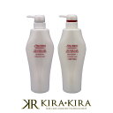 【最大2500円オフクーポン配布中】資生堂プロフェッショナル アクアインテンシブ シャンプー 500ml+トリートメント500g 計2個 ポンプセット