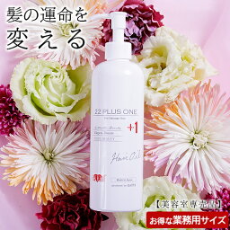 【美容室専売品】 <strong>洗い流さない</strong><strong>トリートメント</strong> 22油プラスワン ヘアオイル(300ml)<strong>業務用</strong>サイズ◆通常サイズの5倍大容量 EARTHEART サロン専売 美容室 HAIR＆MAKE EARTH