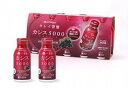 ファイテン カシス5000 100ml×10本入(1ケース)