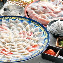 【送料無料 期間限定 とらふぐ刺し ちり鍋セット 4~5人前 直送商品】ふぐちり てっさ ふぐ鍋 刺身 ふぐ 贈り物 ギフト《博多ふくいち》