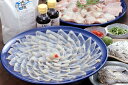 【送料無料 期間限定 とらふぐ刺し ちり鍋セット 4~5人前 直送商品】ふぐちり てっさ ふぐ鍋 刺身 ふぐ 贈り物 ギフト《博多ふくいち》