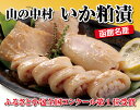 【ヤマノ中村商店】いか粕漬(10尾入)