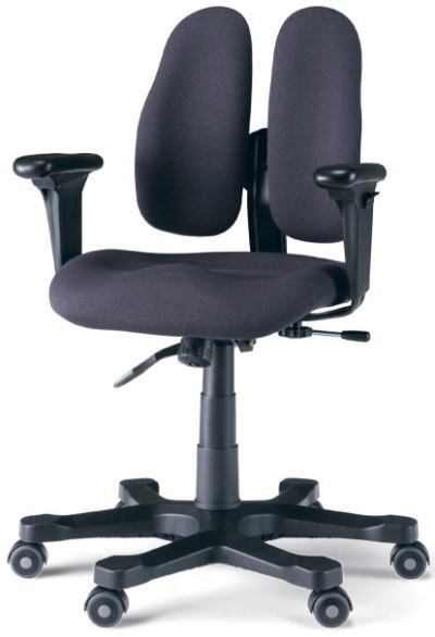 bizyzDUOREST@CHAIR@DR250G3J[