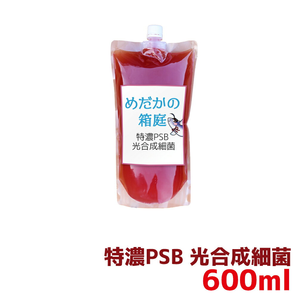 特濃PSB 光合成細菌 600ml 送料無料 針子から<strong>稚魚</strong>に最適 12時までの注文でその日に発送 水質改善や<strong>稚魚</strong>の生存率、成長率アップに！