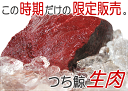 【つちくじら1kg(宮城県産・加熱用)】【冷蔵便】