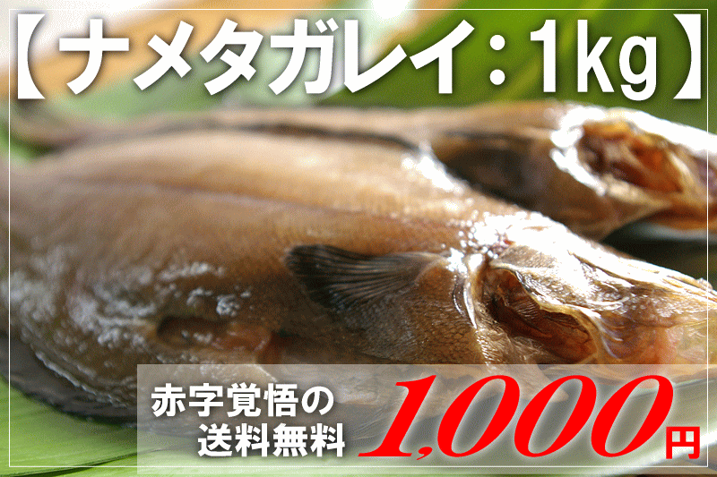 【ナメタガレイ：1kg】鰈（かれい）ど〜んと1kg！下処理済だからすぐ料理に♪焼いても美味しいですが、揚げても絶品♪上品で旨味のあるさっぱりした味わい！