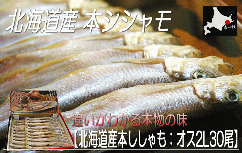 【北海道産本ししゃも：オス2L30尾】本物の柳葉魚（ししゃも）！北海道産の本シシャモの雄（オス）！琥珀色に輝く魚体。本物の深い味わい。