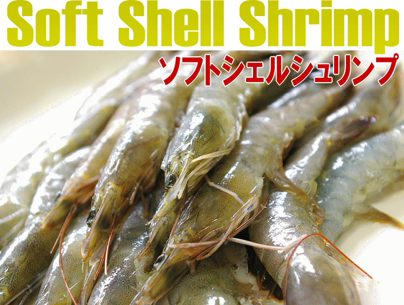 【ソフトシェルシュリンプ30尾：400g】脱皮したての海老！SoftShellShrimp！