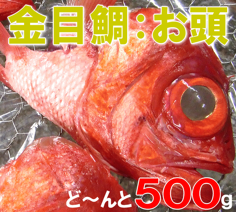 【金目鯛お頭500g以上】金目鯛あら！あら煮・あら汁に！お1人様1個限り！赤字の限定販売！