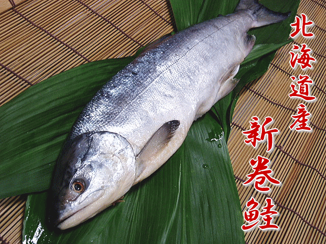 【箱入り新巻鮭(約2kg）】【1本でお届け】北海道産”新巻鮭”“秋さけ”がうまい！贈り物にもおススメ♪