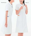FT4537 ナガイレーベン Naway ワンピース ( 白衣 医療用白衣 看護師用 ナース服 ナースウェア ナースウエア ピンク ナース服 ブルー ナース服 通販 楽天 白衣ネット)