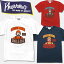 PHERROW'S(フェローズ)半袖Tシャツ【16S-PT6・SMILE PLAY WOOD】