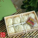 【送料無料】長崎 「いか入りしゅうまい」 しゅうまい シュウマイ いか イカ 点心 中華 中華料理