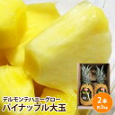 【フィリピン産】ハニーグロー 大玉 2本入り 約3キロパイナップル パイン 高濃度 プレミアム フルーツ 送料無料