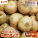 【静岡県 浜松産】【訳あり】メーク　三方原馬鈴薯 5kg じゃがいも 野菜 ジャガイモ 送料無料