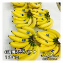 バナナ 箱売りお買い得 5H 6H 13キロ