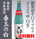 限定製造 春玉の白（強発泡・活性）720ml　1箱12本入強発砲辛口、爽やかな飲み口があとを引きます福島県の地酒／末廣酒造