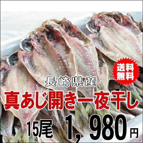 真あじ開き一夜干し　15尾【送料無料】【長崎県産】 【ギフト】【お土産】