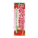 P.O.Pプロダクツ/G_のぼり SNB-1429 イチゴ狩り/新品/小物送料対象商品