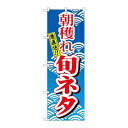 P.O.Pプロダクツ/☆N_のぼり H-473 朝穫レ旬ネタ/新品/小物送料対象商品