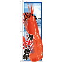のぼり 【「エビ 絵旗」】のぼり屋工房 SNB-1562 幅600mm×高さ1800mm【プロ用】