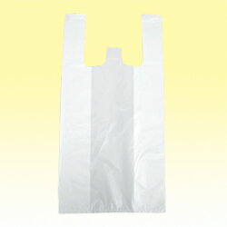 쥸Хå No.40 100  ̳ ۡ  