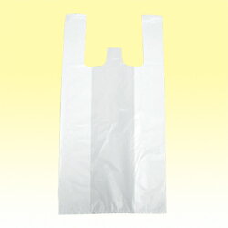 쥸Хå No.45 100  ̳ ۡ  