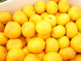 Ϻߤץߥࡪܳ¢5kסŲ