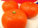 小原紅早生みかん(さぬき紅みかん) 2・5kg S?L 【香川産】果皮がオレンジ色系!人気のミカンが夏に復活です。7月お届け