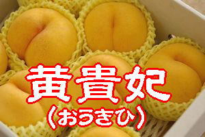 「黄貴妃」おうきひ　黄色い桃です♪小箱 約6玉〜約7玉 【山形・山梨・長野・その他産地】